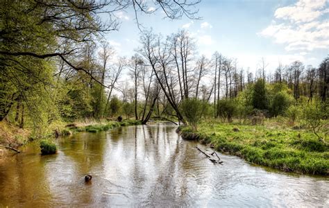 puszcza bolimowska ciekawe miejsca|Oaza zieleni między Warszawą a Łodzią